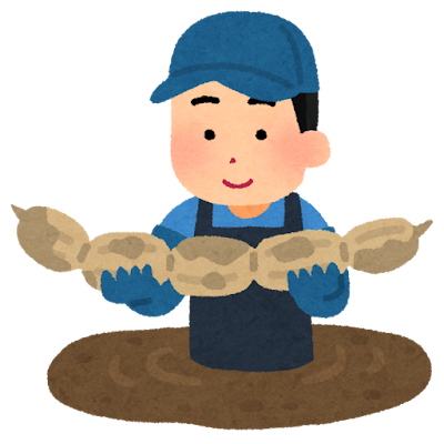 野菜の収穫