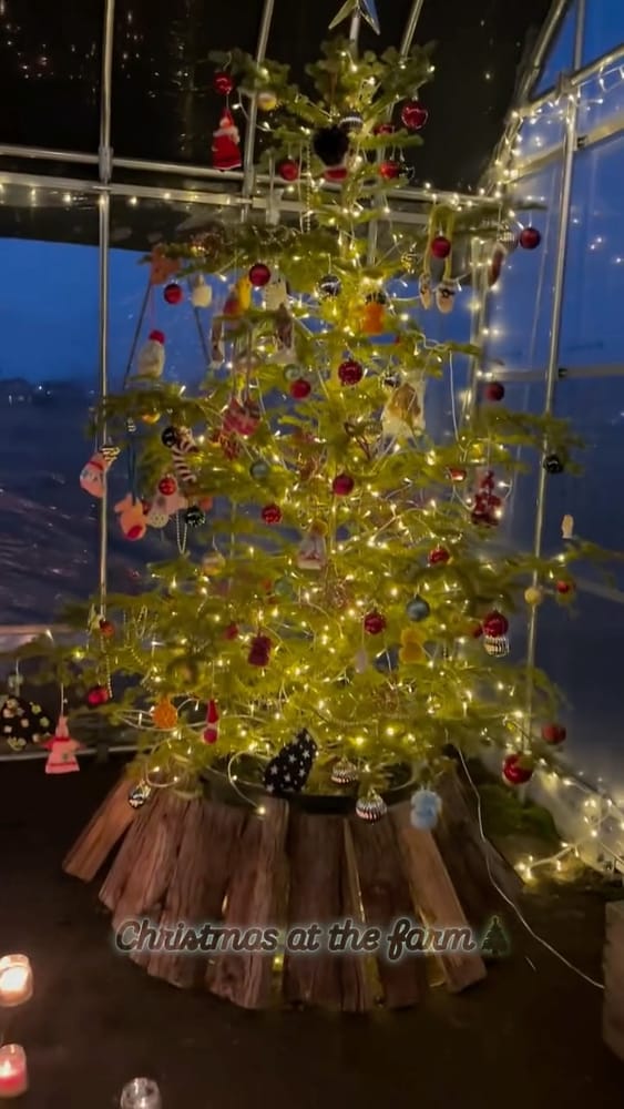 ビニールハウスの中に飾られたクリスマスツリー