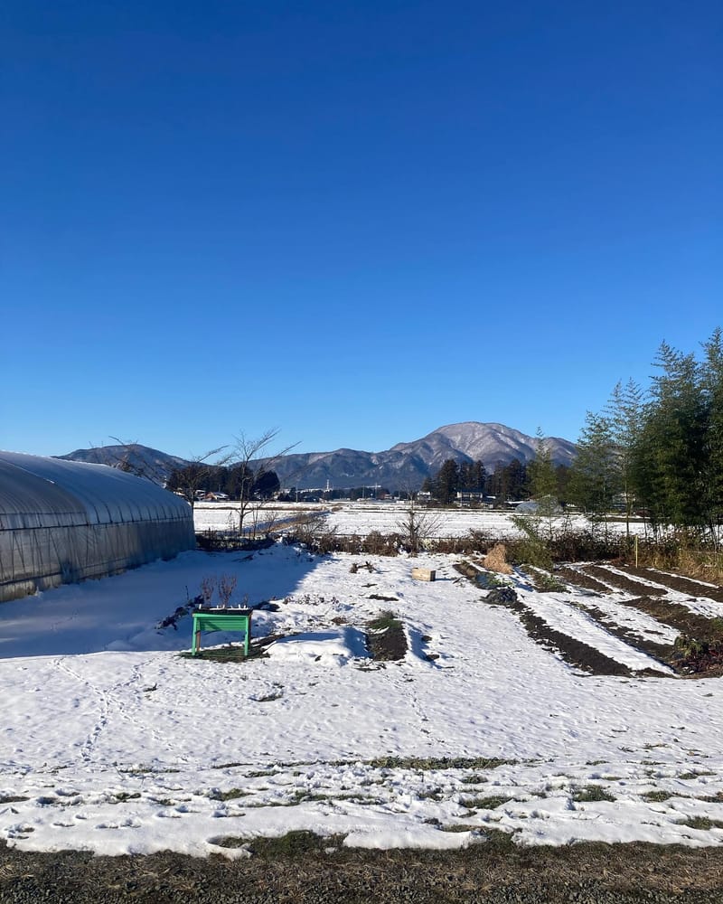 雪が積もった冬の畑と山並み